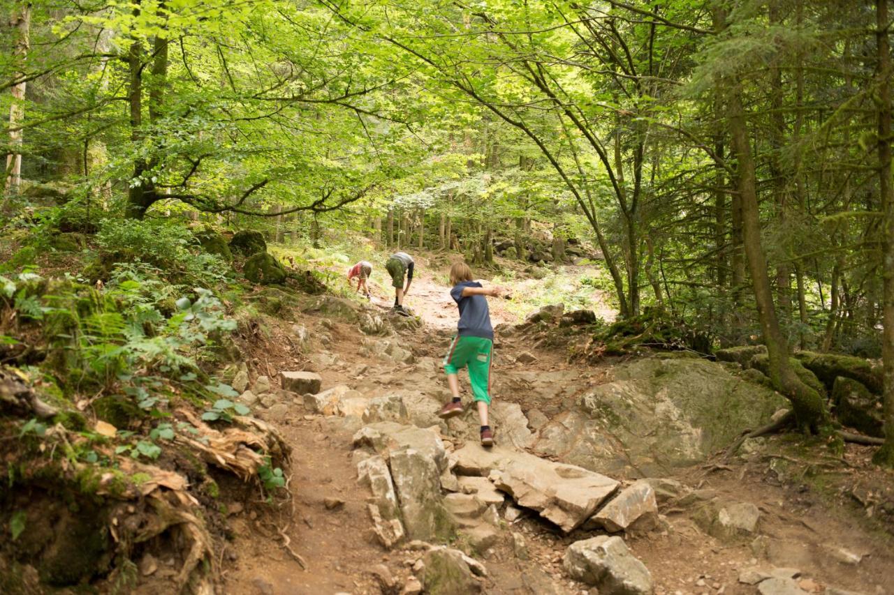 Europe Tents Camping Domaine Des Messires Herpelmont 외부 사진